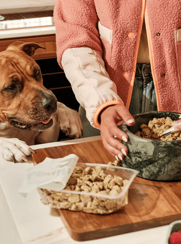 Accelerated portfolio company funding